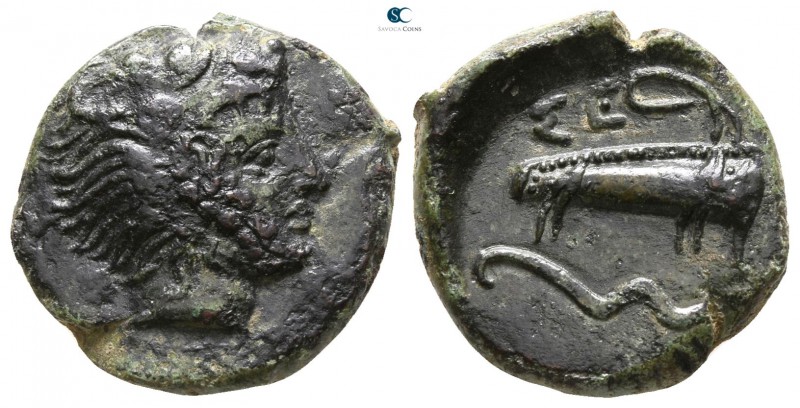 Sicily. Selinus 415-409 BC. 
Hemilitron Æ

16mm., 3,61g.



very fine