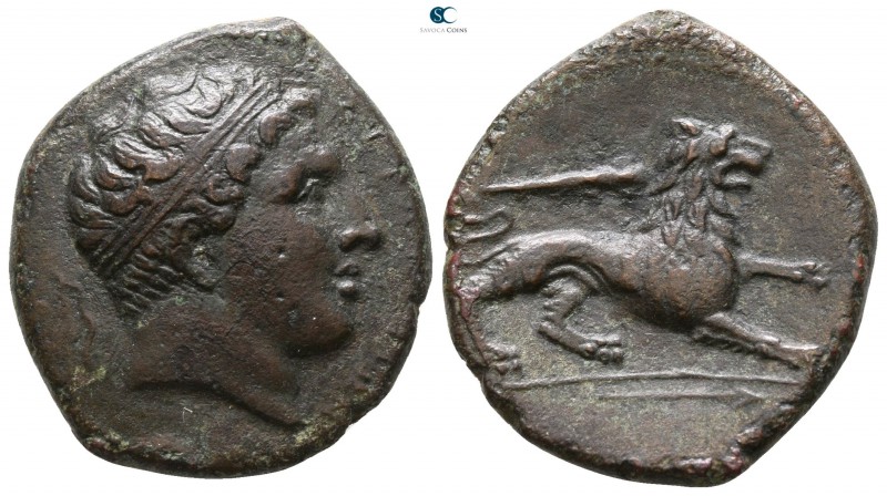 Sicily. Syracuse. Agathokles 317-289 BC. 
Bronze Æ

23mm., 7,07g.



near...
