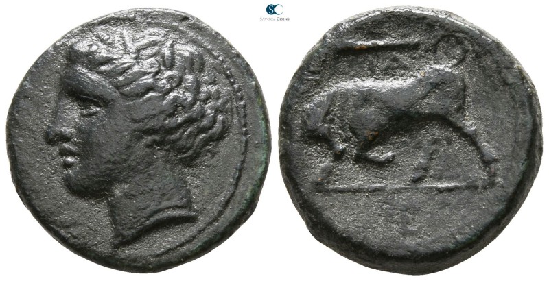 Sicily. Syracuse. Hieron II 275-215 BC. 
Bronze Æ

18mm., 5,98g.



very ...