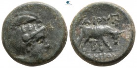 Macedon. As Roman Province. District Bottiaia circa 148-146 BC. ΓΑΙΟΣ ΤΑΜΙΑΣ (Gaius Publilius, Quaestor). Bronze Æ