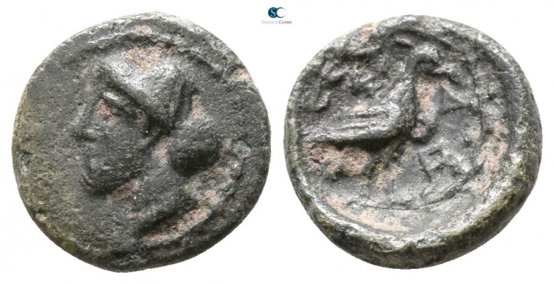 Macedon. Scione 400-350 BC. 
Chalkous Æ

8mm., 0,72g.



good very fine