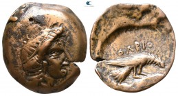Scythia. Olbia 400-350 BC. Bronze Æ