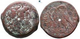 Ptolemaic Kingdom of Egypt. Alexandria. Ptolemy VIII Euergetes II (Physkon) 145-116 BC. Bronze Æ