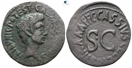 Augustus 27 BC-AD 14. C. Cassius Celer, moneyer. Rome. As Æ