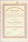 Belgium Share of Geonafte 1923
# 628; VF