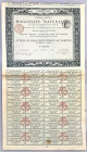France Share of Compagnie Générale Des Magnésies Naturelles for 400 Francs 1883
VF