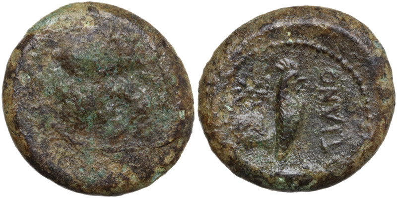 Northern Campania, Teanum Sidicinum, c. 265-240 BC. Æ (20mm, 6.27g). Helmeted he...