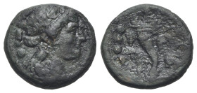 Northern Lucania, Paestum, 218-201 BC. Æ Triens (18mm, 5.18g, 6h). Female head r. wearing ivy wreath; four pellets to l. R/ Cornucopia; four pellets a...