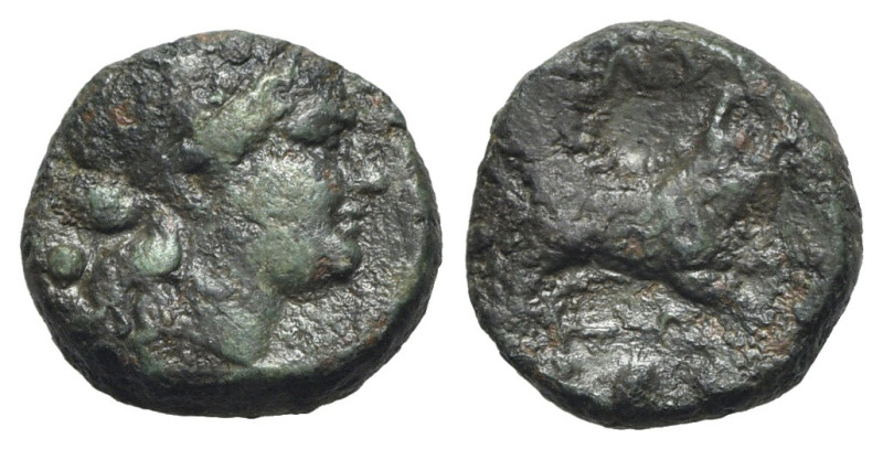 Northern Lucania, Paestum, c. 218-201 BC. Æ Sextans (15mm, 3.29g, 3h). Head of C...