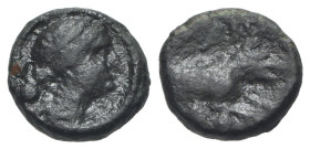 Northern Lucania, Paestum, 218-201 BC. Æ Sextans (12mm, 2.25g, 9h). Female head r. R/ Boar r. Cf. HNItaly 1215. Good Fine