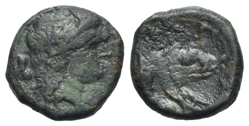 Northern Lucania, Paestum, 218-201 BC. Æ Sextans (16mm, 3.52g, 5h). Female head ...