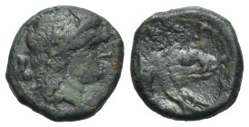 Northern Lucania, Paestum, 218-201 BC. Æ Sextans (16mm, 3.52g, 5h). Female head r. R/ Forepart of boar r. Crawford, Paestum 12/1; HNItaly 1218. Good F...