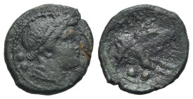 Northern Lucania, Paestum, 218-201 BC. Æ Sextans (18mm, 3.02g, 5h). Female head r. R/ Forepart of boar r. Crawford, Paestum 12/1; HNItaly 1218. Fine -...