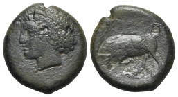 Sicily, Syracuse. Agathokles (317-289 BC). Æ Hemilitron (23mm, 9.97g, 12h), c. 317-310. Head of Kore l., wearing wreath of grain ears; poppy to r. R/ ...