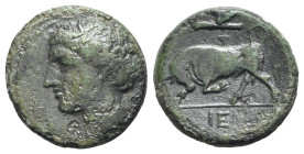 Sicily, Syracuse. Hieron II (275-215 BC). Æ (19mm, 5.01g, 9h), c. 275-269 BC. Wreathed head of Kore l.; poppy-head behind. R/ Bull butting l.; club an...