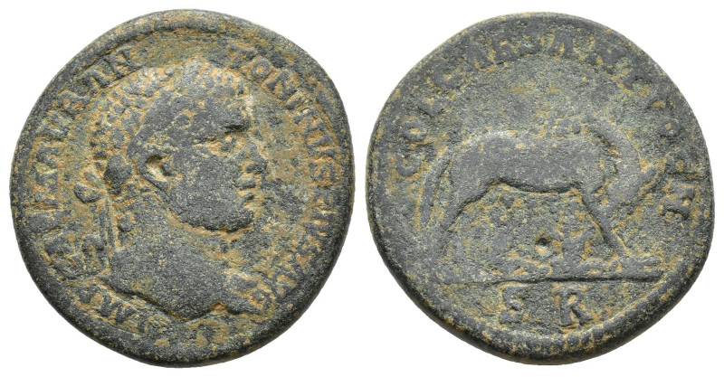 Caracalla (198-217). Pisidia, Antioch. Æ (32mm, 24.16g). Laureate head r. R/ She...