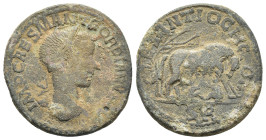 Gordian III (238-244). Pisidia, Antioch. Æ (32mm, 24.38g). Laureate head r. R/ She-wolf standing r. under tree, suckling the twins Romulus and Remus. ...