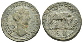 Gordian III (238-244). Pisidia, Antioch. Æ (33mm, 27.01g). Laureate head r. R/ She-wolf standing r. under tree, suckling the twins Romulus and Remus. ...