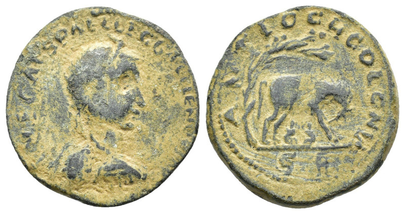 Gallienus (253-268). Pisidia, Antioch. Æ (28mm, 12.78g). Radiate and cuirassed b...