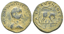 Gallienus (253-268). Pisidia, Antioch. Æ (28mm, 12.78g). Radiate and cuirassed bust r. R/ She-wolf standing r., suckling the twins Remus and Romulus; ...