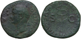 Tiberius (14-37). Æ As (28mm, 11.98g). Rome. Laureate head l. R/ Legend around vertical winged caduceus; S C across field. Cf. RIC I 40. Good Fine