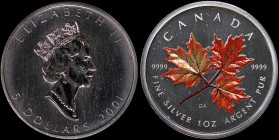 CANADA: 5 Dollars (2001) in silver (0,999). Crowned head of Queen Elizabeth II facing right with date and denomination below on obverse. Three maple l...