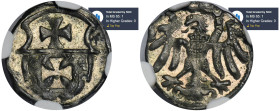 Sigismund I the Old, Denarius no date Elbing - NGC MS65 MAX - JEDYNY R2