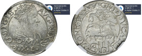 Sigismund II August, Groschen Tykocin 1567 - NGC MS61 - L/LI MAX - JEDYNY