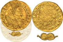 Ladislaus IV Vasa, Ducat Danzig 1646 - VERY RARE, five leaf twig in a cartouche R7