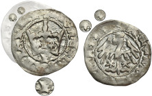 Ladislaus II Jagiello, 1/2 Groschen Krakau - RARE, letter P, two stars R