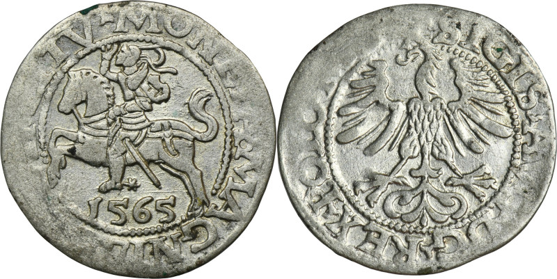 Sigismund II August, Halfgroat Vilnius 1565 Variety with ending of the reverse l...