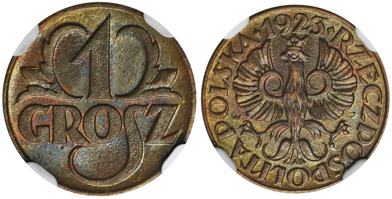 1 grosz 1923 - NGC MS65 BN Piękna sztuka z mocnym blaskiem tła.&nbsp;
Reference...