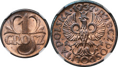 1 grosz 1937 - NGC MS66 RB