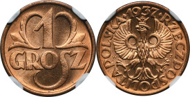 1 grosz 1937 - NGC MS65 RD