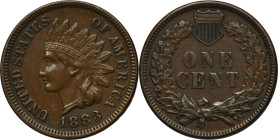 USA, 1 Cent Philadelphia 1883 - Indian Head