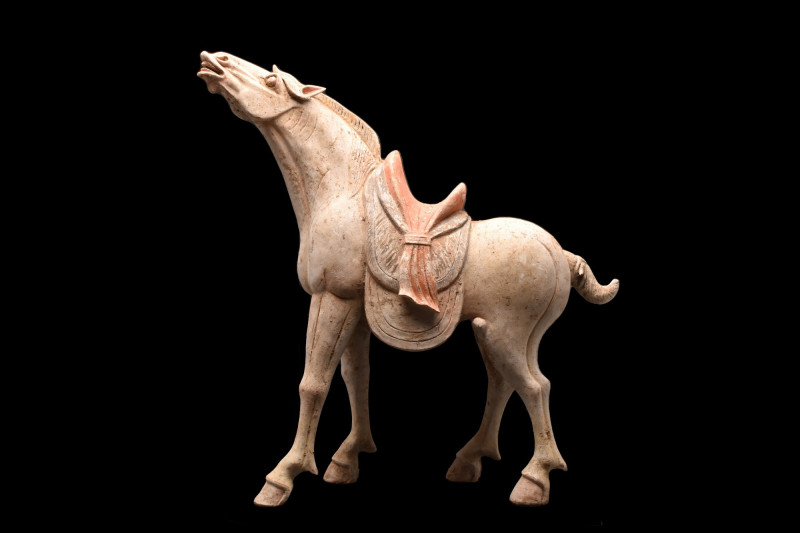 CHINESE TANG DYNASTY TERRACOTTA HORSE - TL TESTED
Ca. 618-907 AD. 
A beautiful...