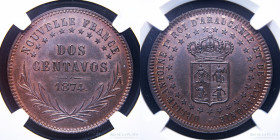 Araucania y Patagonia. 2 Centavos 1874. CJ 5.1.4