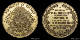 Argentina. 1882. Exposicion Continental. J. Domingo