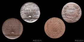 Argentina. Centenario. 1910. Museo Historico Nacional. Dos maderas diferentes