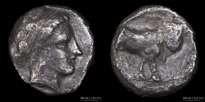 Campania, Neapolis (300-275BC) AR Didrachm. 17.3mm; 6.69g; 6h. A: Female head ri...