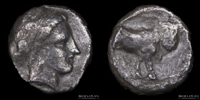 Campania, Neapolis (300-275BC) AR Didrachm