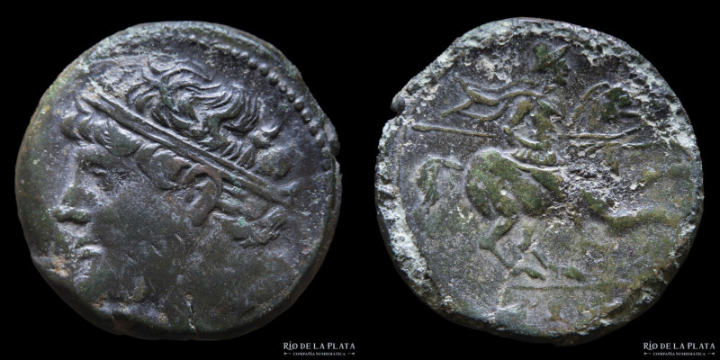 Sicily. Syracuse (Hieron II 275-215AC) AE Hemilitron. 27.0mm; 17.20g. A: Diademe...