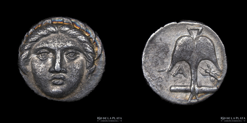 Thrace. Apollonia Pontika (450-400BC) AR Diobol. 10.5mm; 1.22g. A: Laureate faci...