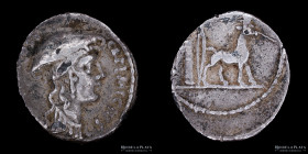 Roman Republic. Cn. Plancius 55BC, AR Denarius Fourre