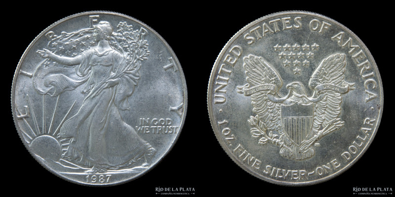 USA. 1 Dollar 1987. Silver Eagle. AG.999; 40.6mm; 31.1g. KM273 (UNC) En estuche ...