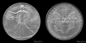 USA. 1 Dollar 1991. Silver Eagle. KM273