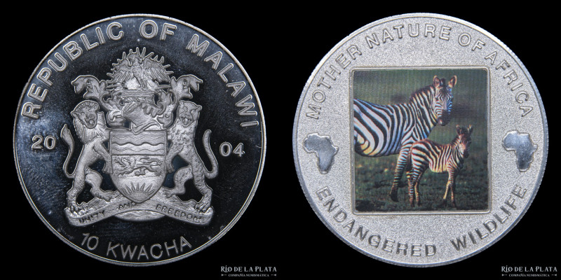 Malawi. 10 Kwacha (Cebra) 2004. Cu-Ni bañado en plata; 38.7mm; 29.50g. KM60 (VF)...