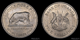 Uganda. 5 Shillings 1968 FAO. KM7