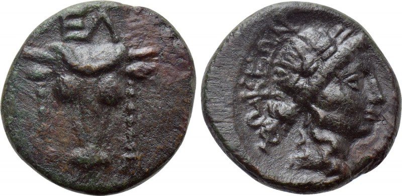 PHOKIS. Elateia. Ae (3rd-2nd centuries BC). 

Obv: ΕΛ. 
Facing head of bull, ...