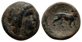 Ionia, Miletos. Ca. 3rd-2nd centuries B.C. AE (17mm, 4.3 g). Laureate head of Apollo right /Lion standing right, head left; star above.